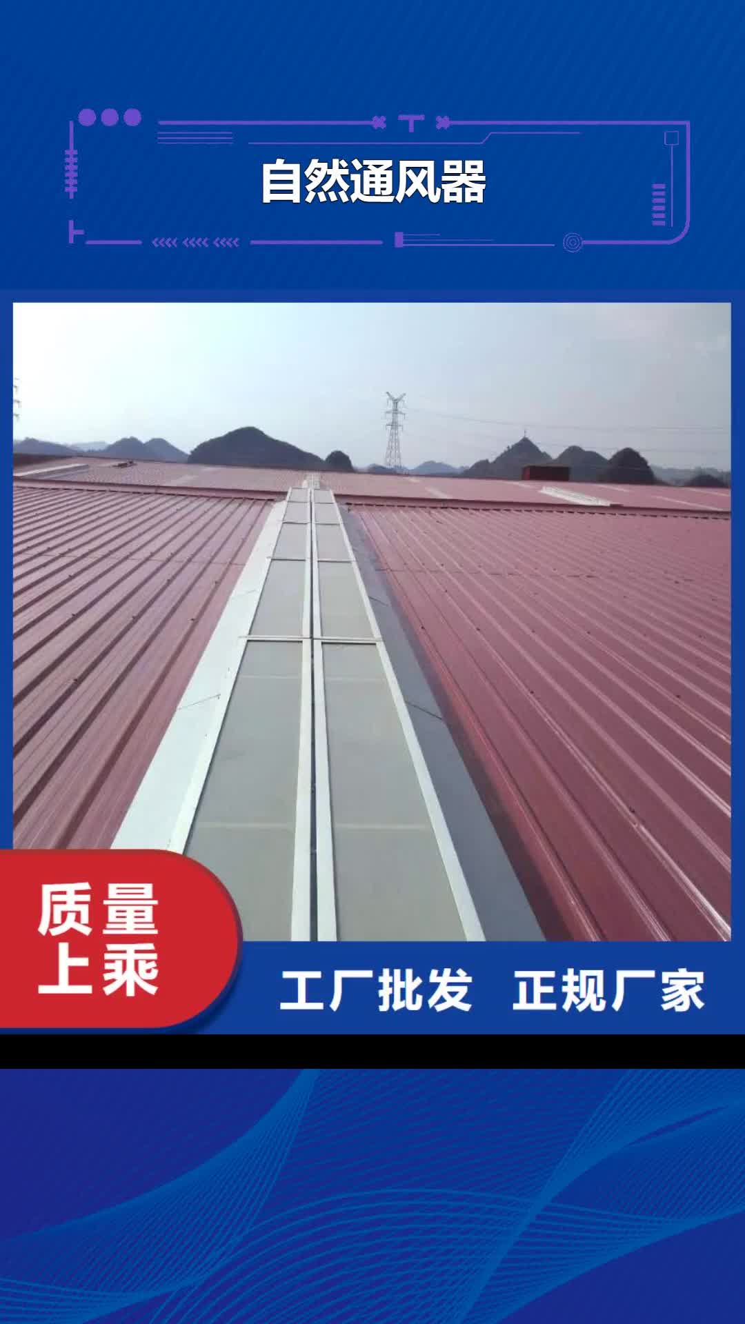 定西【自然通风器】-通风气楼源厂直接供货