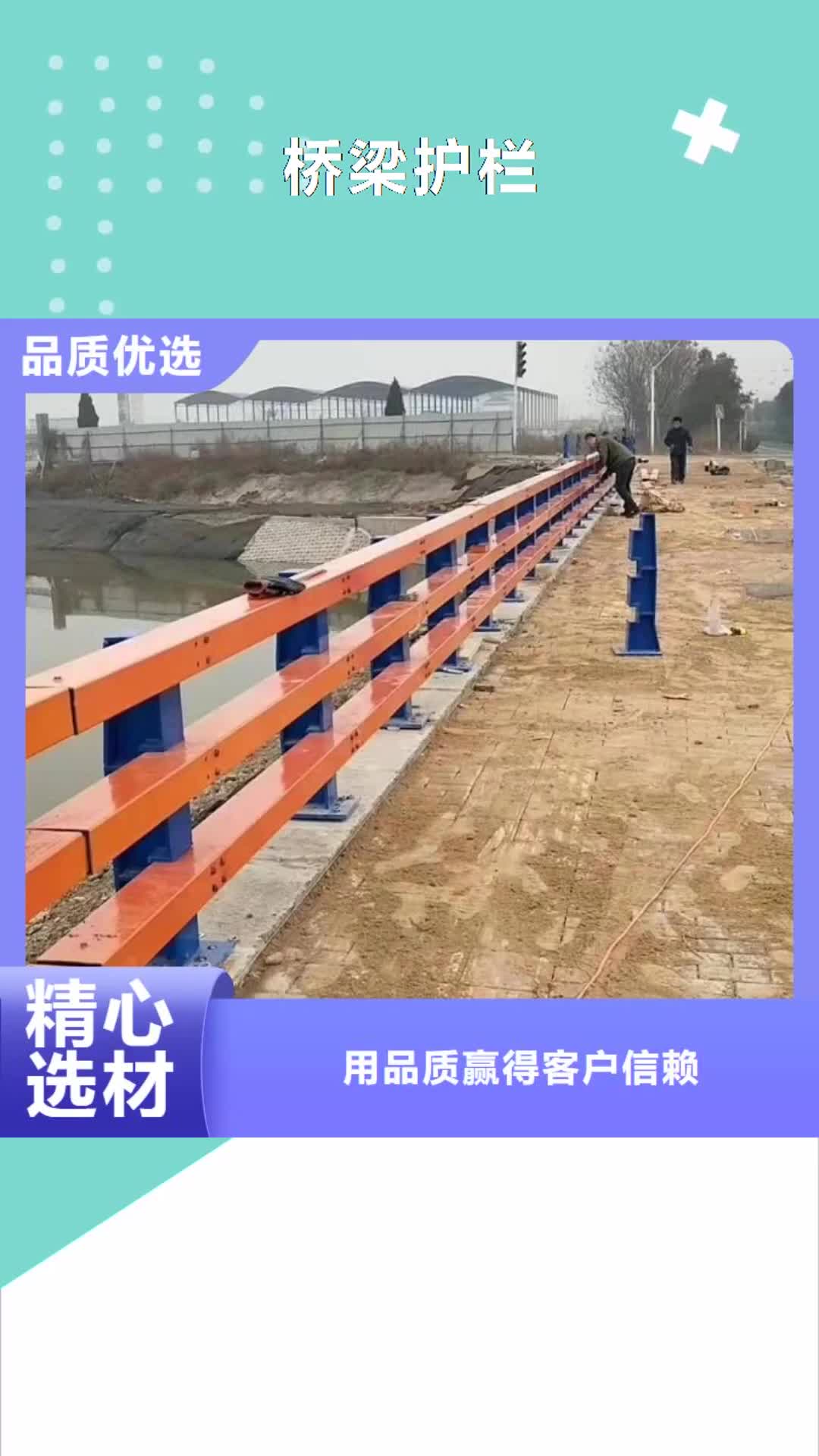 秦皇岛 桥梁护栏 【高速公路防撞护栏】一手货源源头厂家