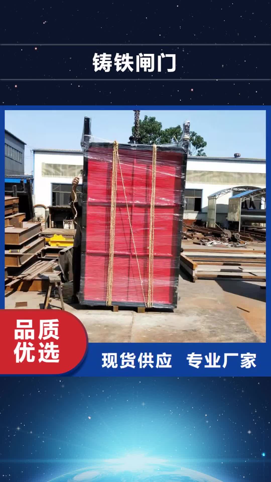 楚雄铸铁闸门拍门订购