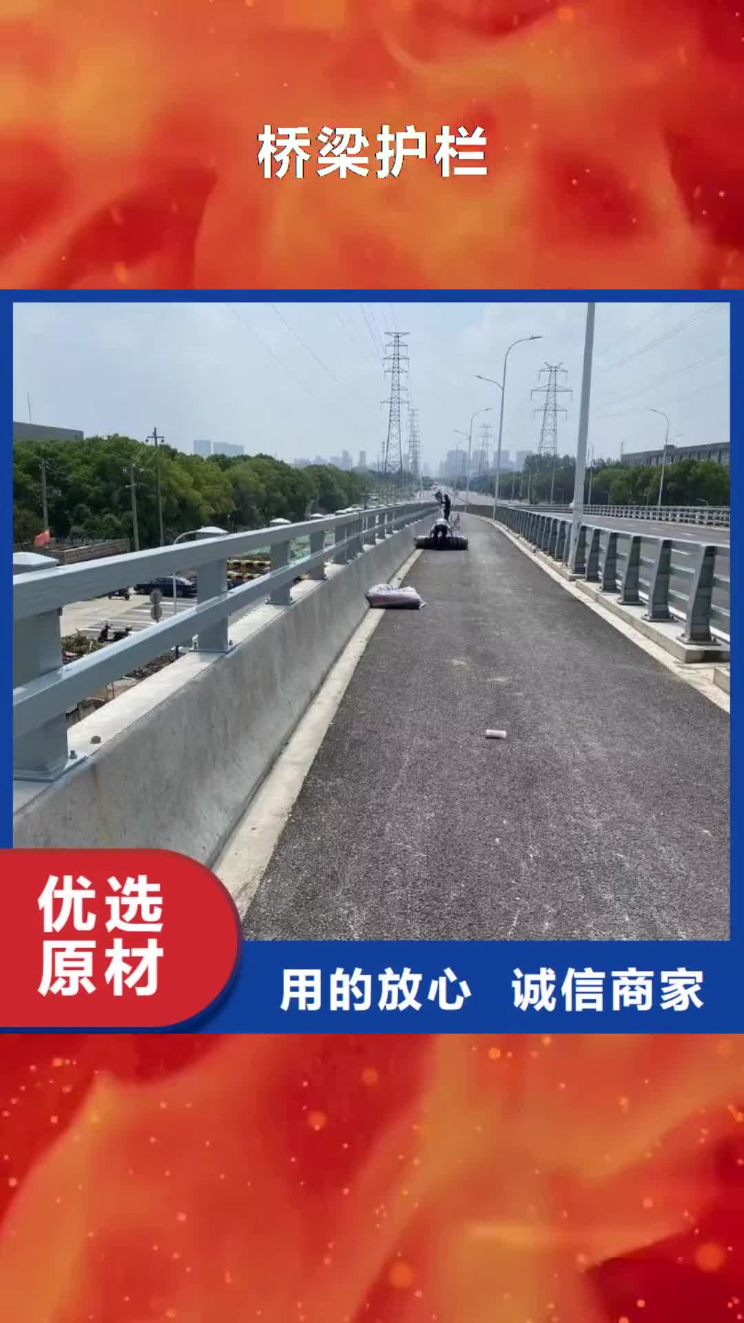【防城港 桥梁护栏-天桥护栏甄选好厂家】