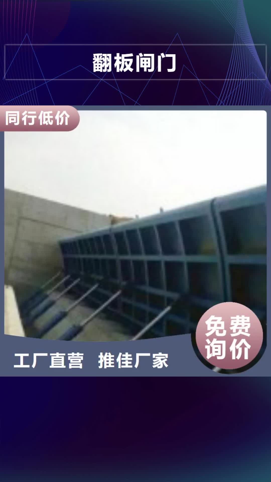 连云港翻板闸门-【抓斗清污机】性价比高