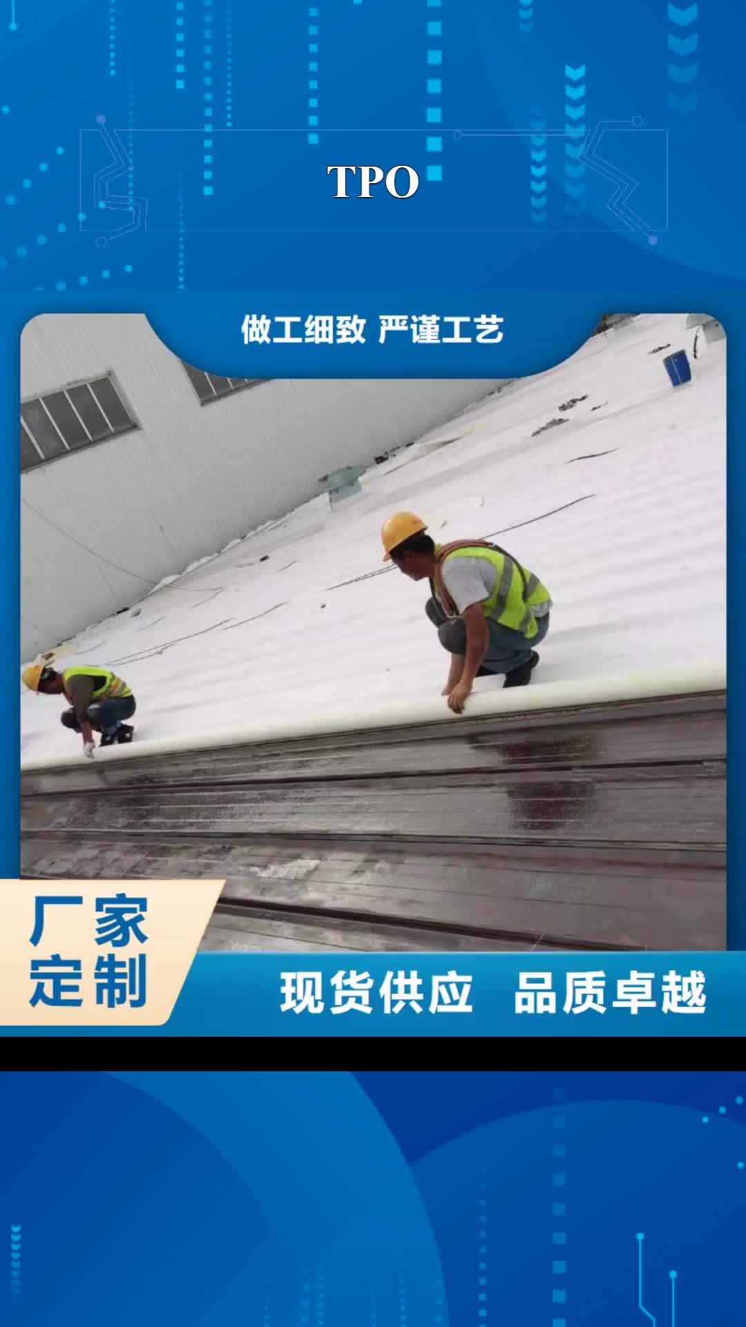 四川【TPO】 PVC防水施工厂家直接面向客户