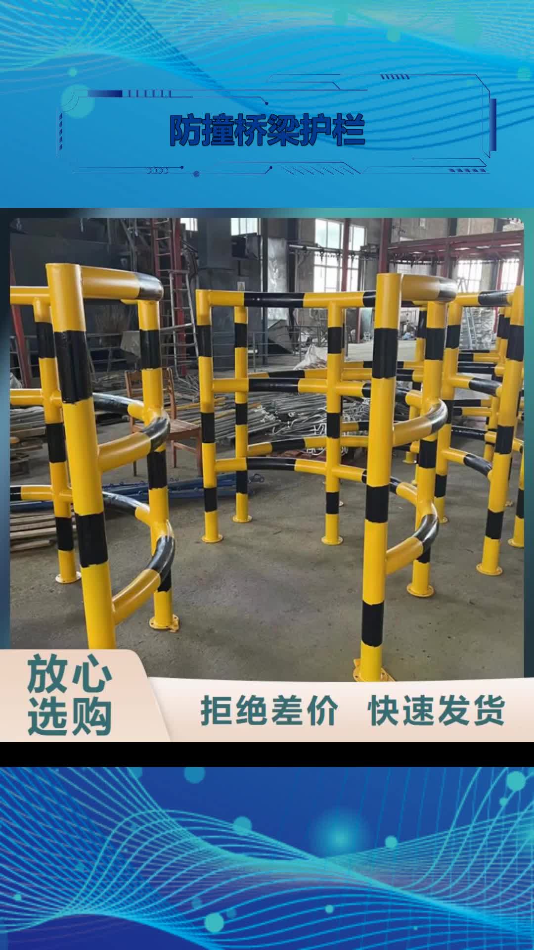 上海【防撞桥梁护栏】,河道防护栏杆工艺精细质保长久
