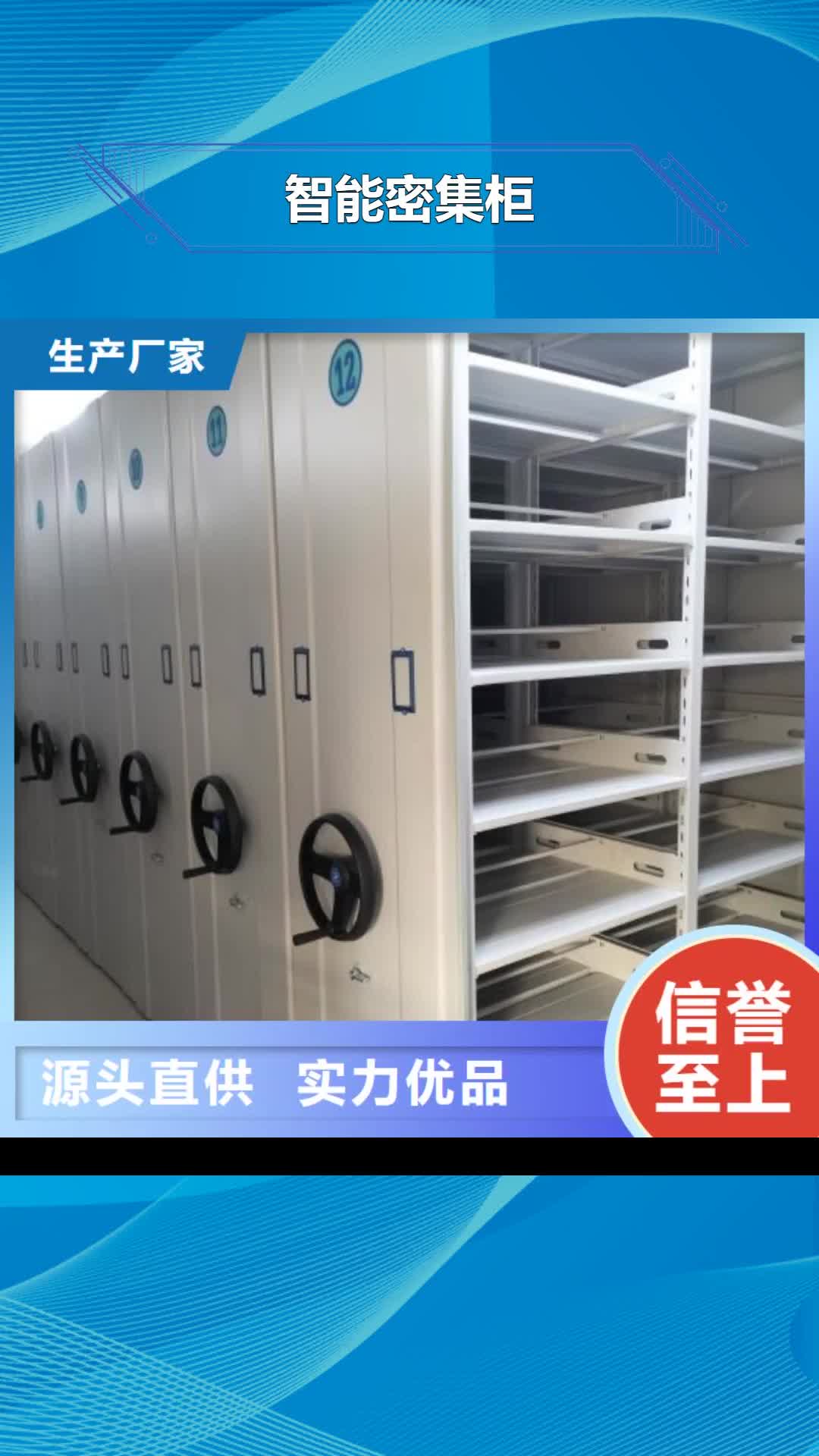 六安 智能密集柜,【密集架】真材实料