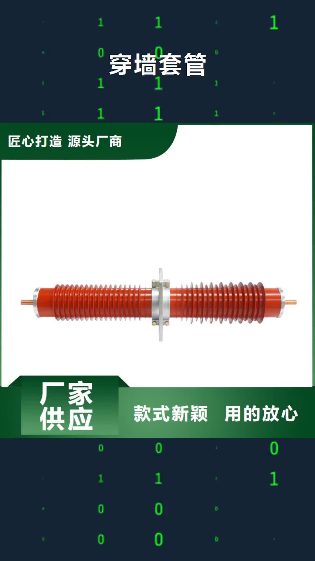 来宾【穿墙套管】绝缘子多种场景适用