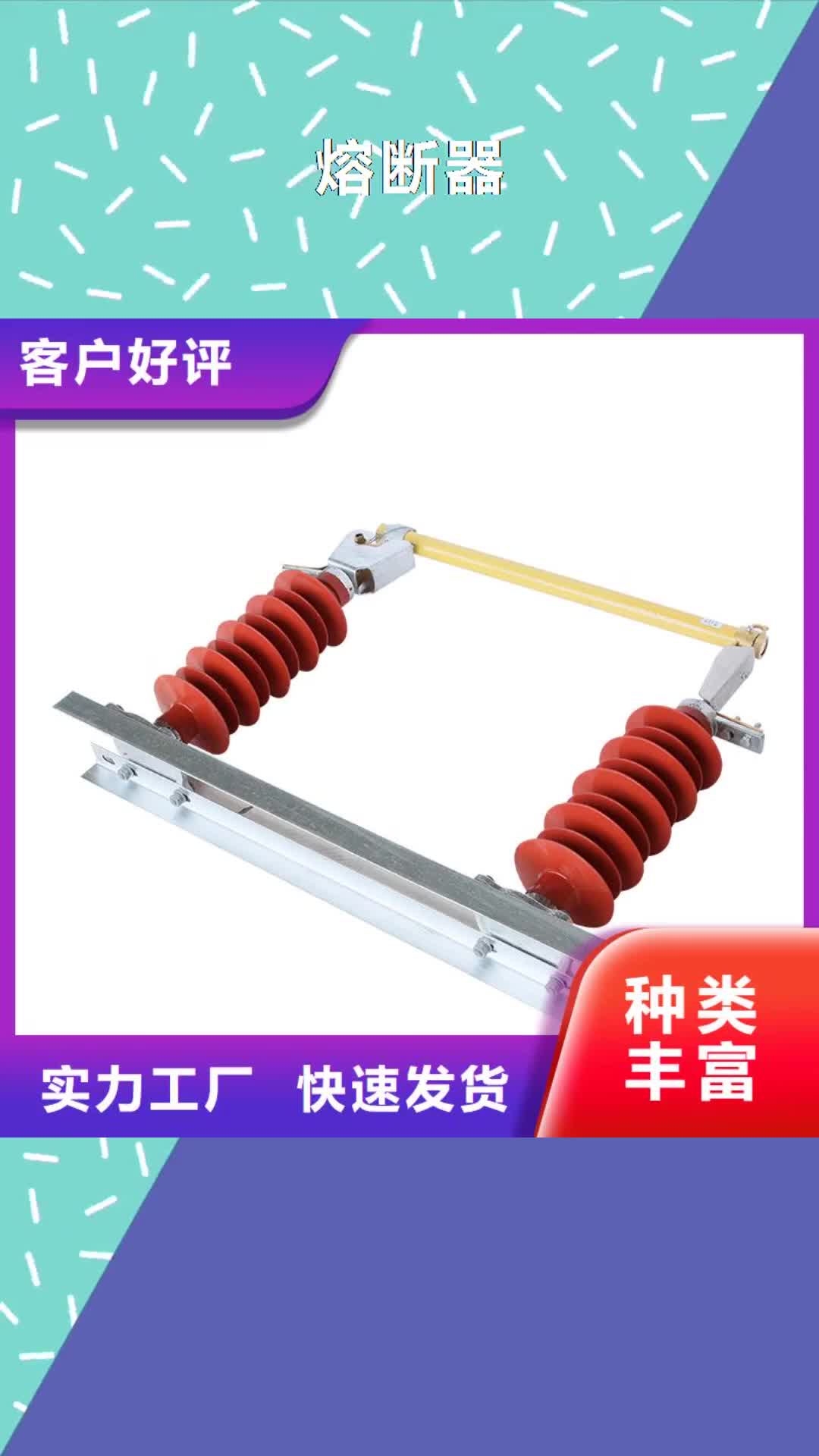 鄂尔多斯 熔断器【绝缘子】让利客户
