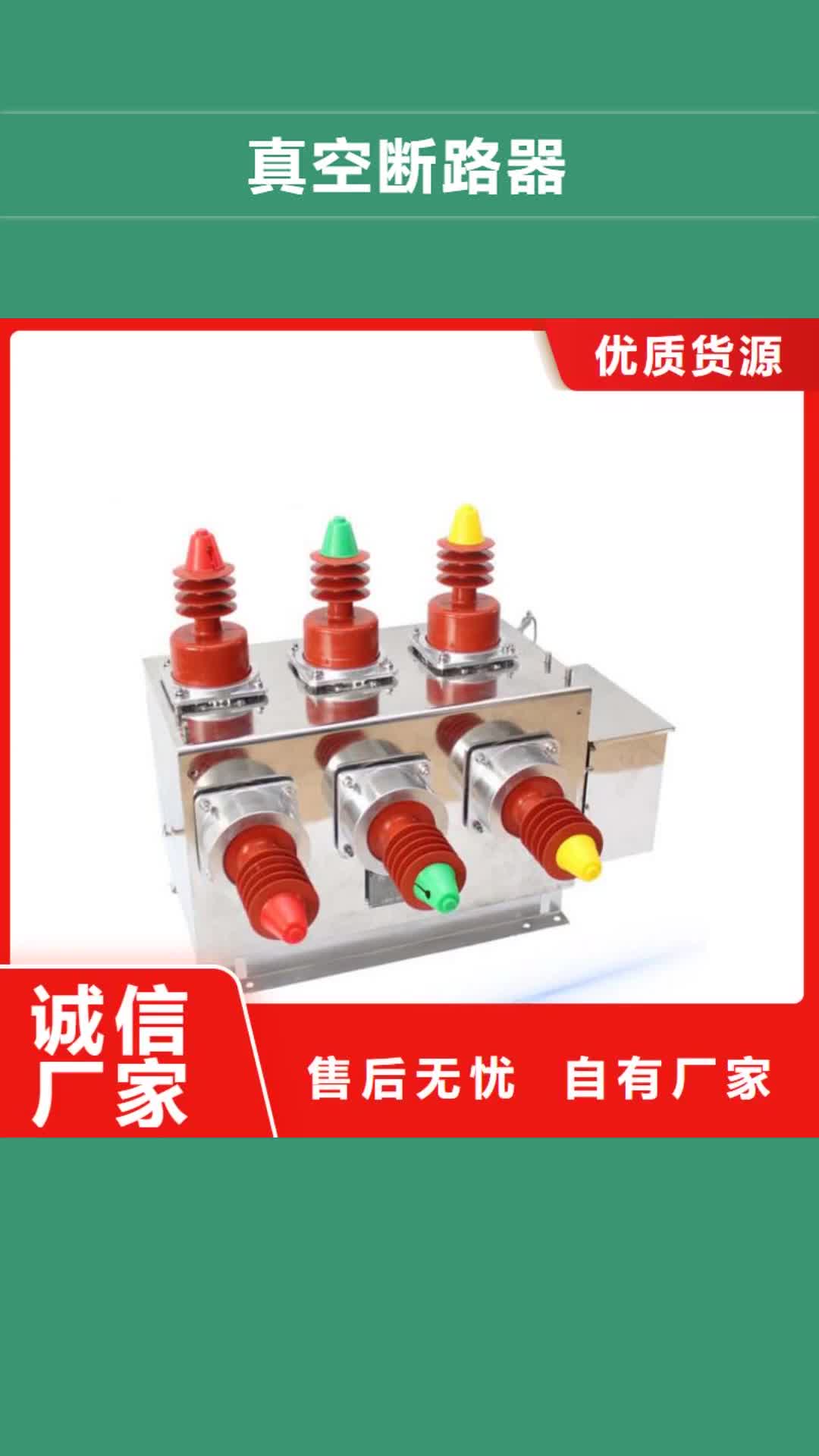 【泰安真空断路器-高低压电器生产型】