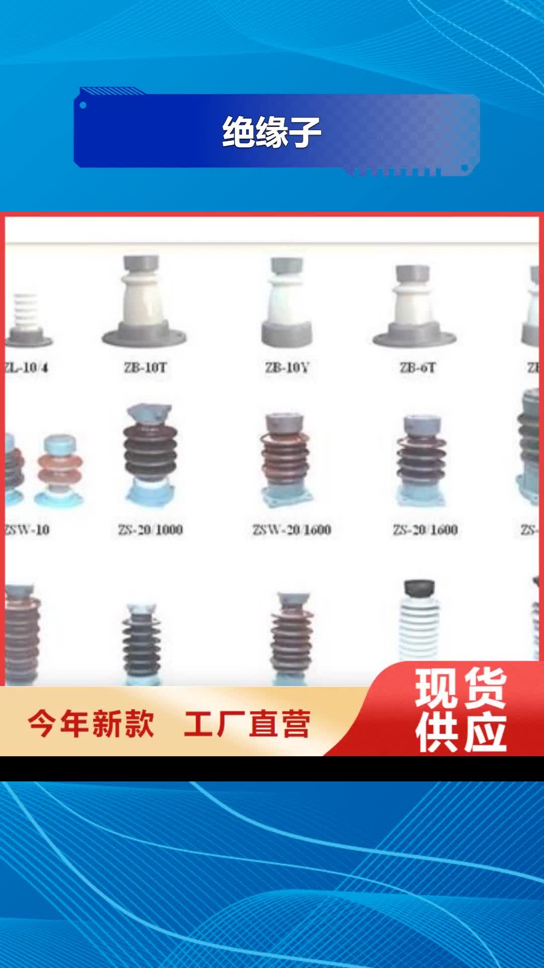 毕节 绝缘子精致工艺
