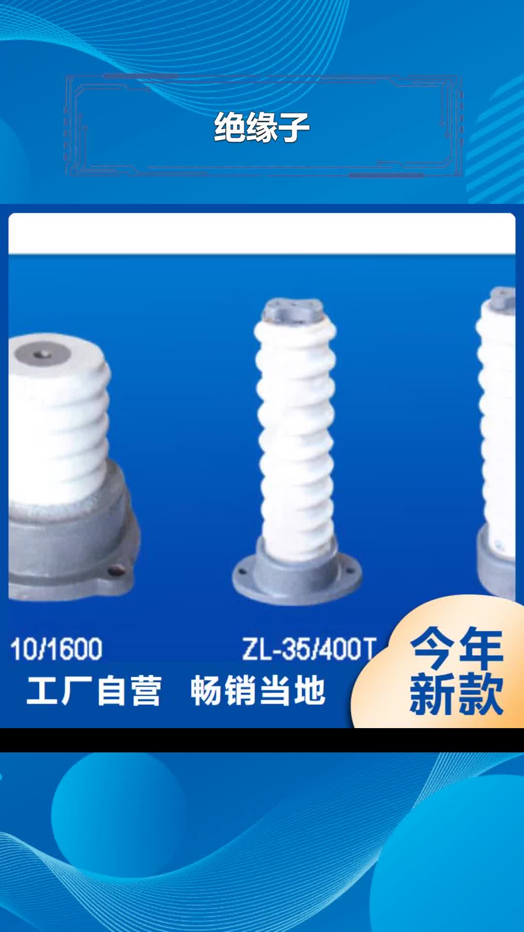南阳 绝缘子源厂直销